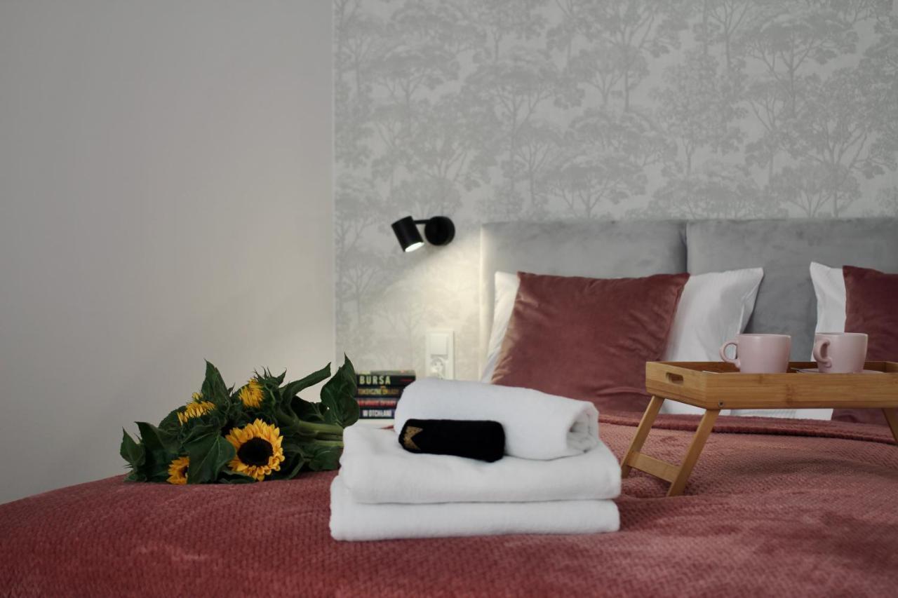 Luna Apartments Jelenia Góra Extérieur photo